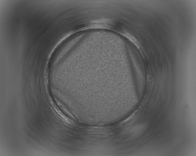 X0000082171119200702092236