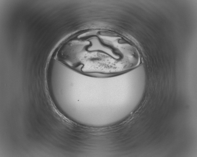 X0000082171120200702092236