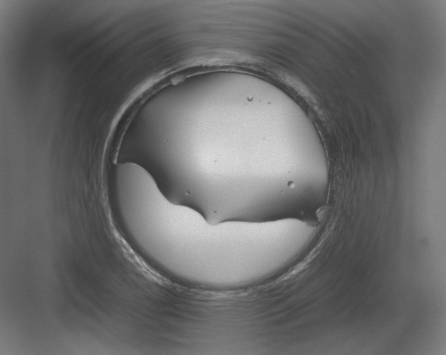 X0000082171122200702092236