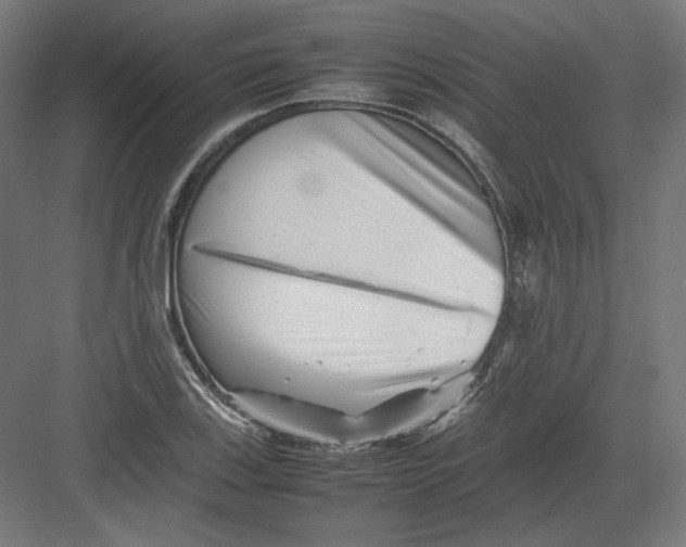 X0000082171123200702092236