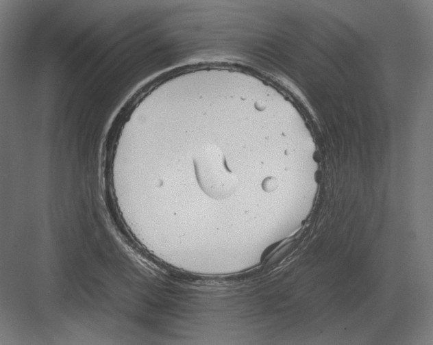 X0000082171124200702092236