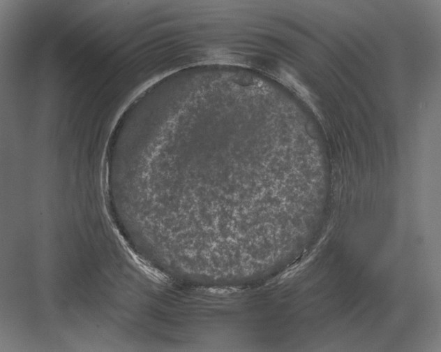 X0000082171125200702092236