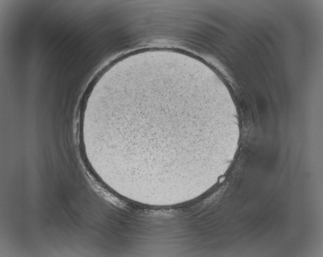 X0000082171126200702092236