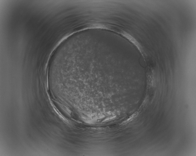 X0000082171127200702092236