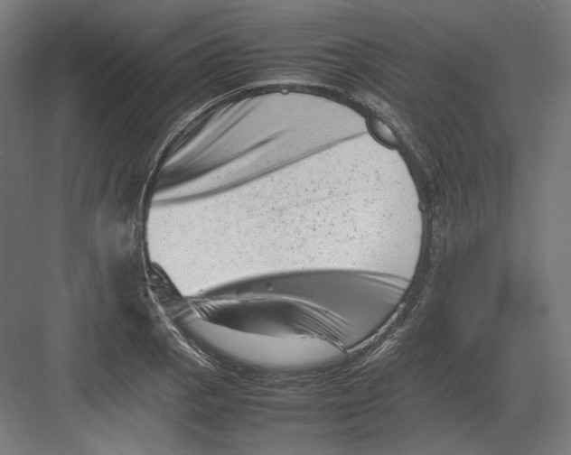 X0000082171129200702092236