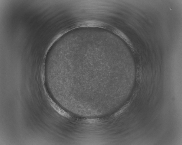 X0000082171130200702092236