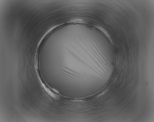 X0000082171131200702092236