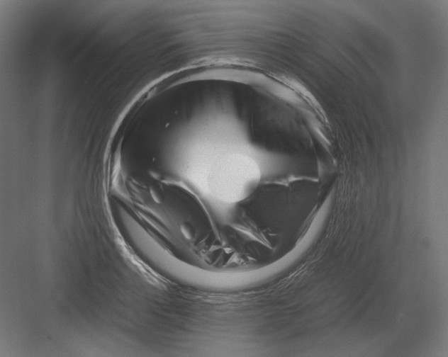 X0000082171132200702092236