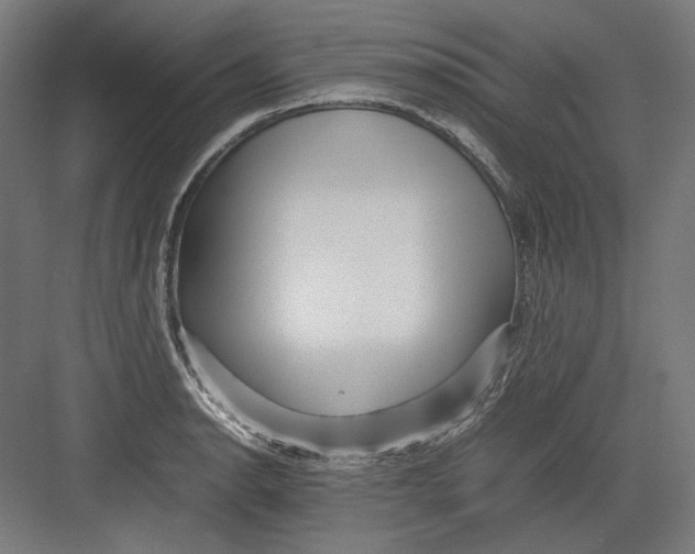 X0000082171134200702092236