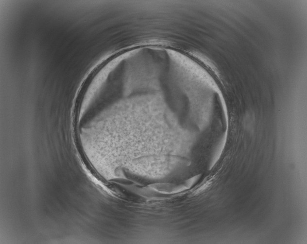 X0000082171135200702092237