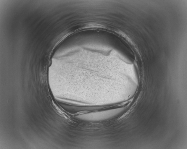 X0000082171137200702092237