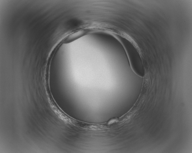 X0000082171138200702092237