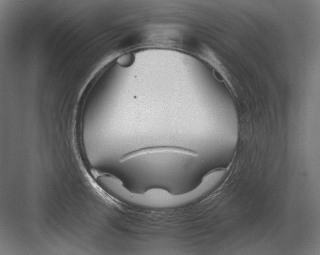 X0000082171139200702092237