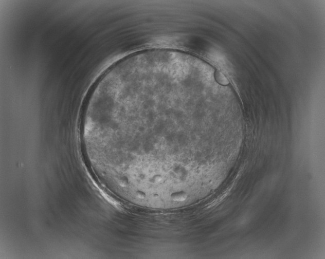 X0000082171141200702092237