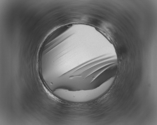 X0000082171143200702092237