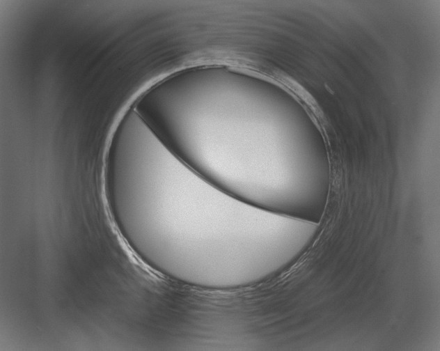 X0000082171144200702092237