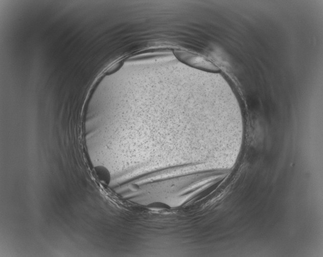 X0000082171145200702092237