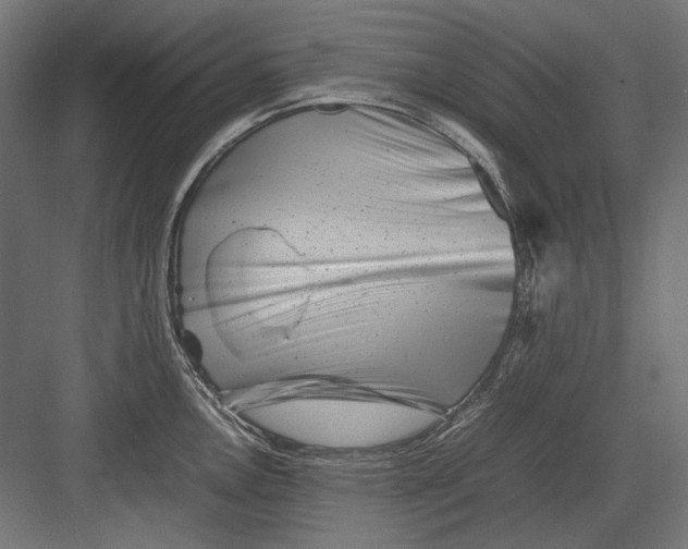 X0000082171146200702092237