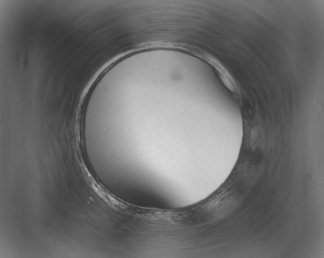 X0000082171148200702092237