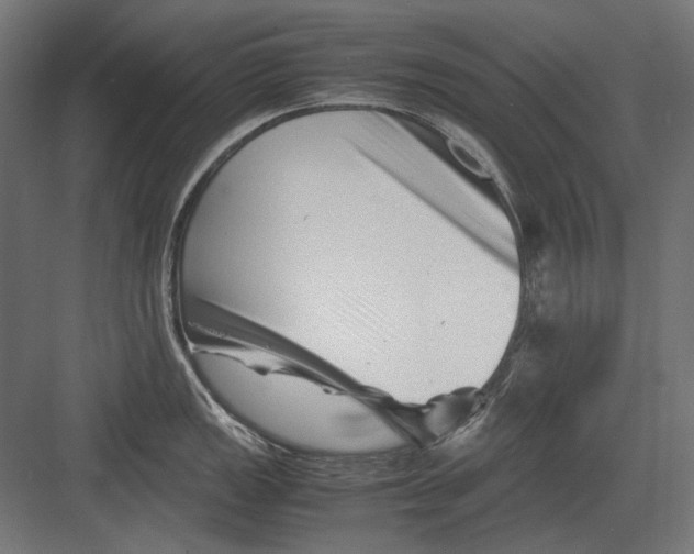 X0000082171149200702092237