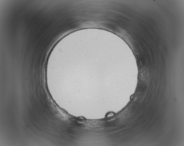 X0000082171150200702092237