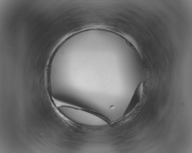 X0000082171151200702092237