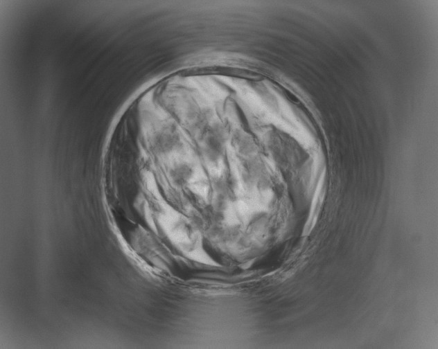 X0000082171152200702092237