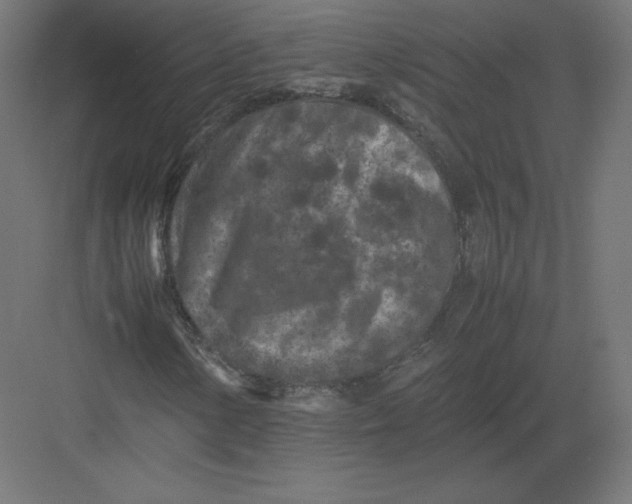 X0000082171154200702092236