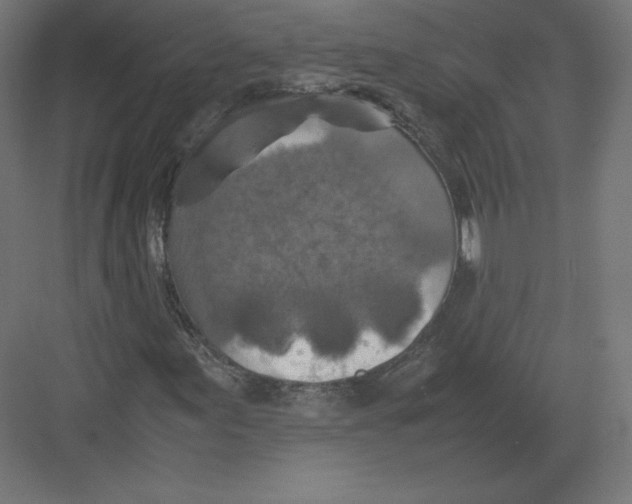 X0000082171155200702092236