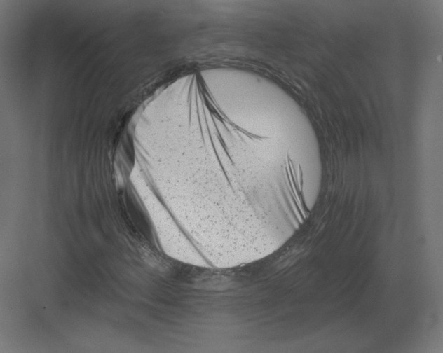 X0000082171156200702092236