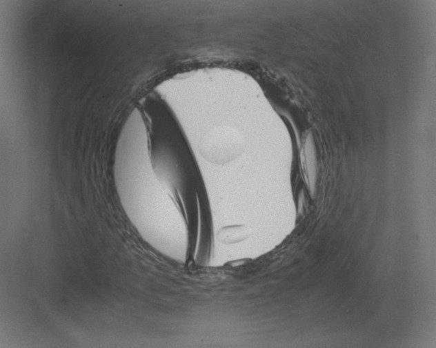 X0000082171157200702092236