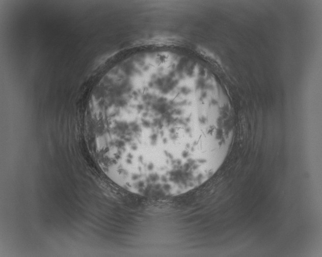 X0000082171158200702092236