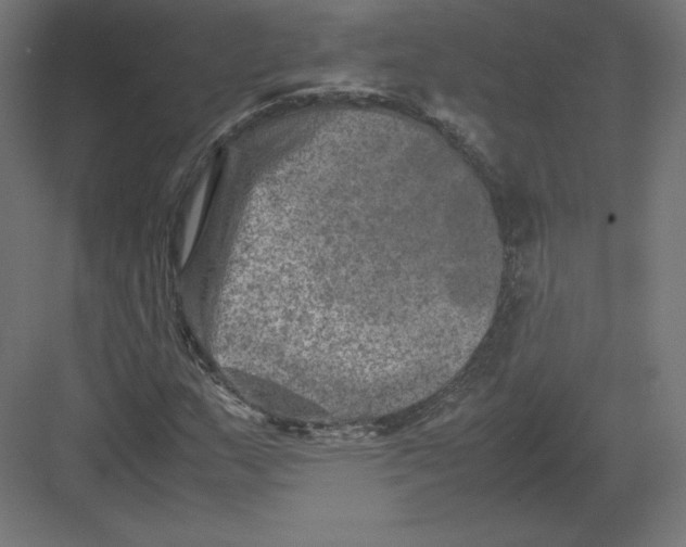 X0000082171159200702092236