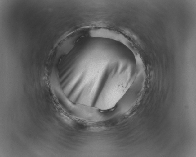 X0000082171160200702092236