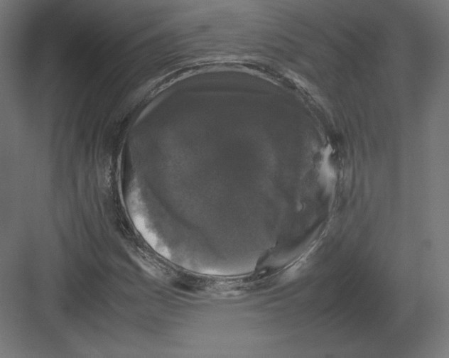 X0000082171161200702092236