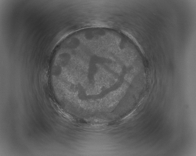 X0000082171163200702092236