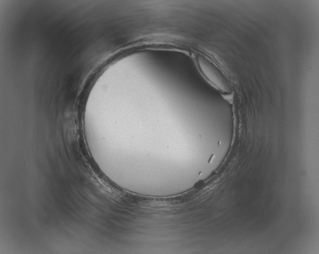 X0000082171164200702092236