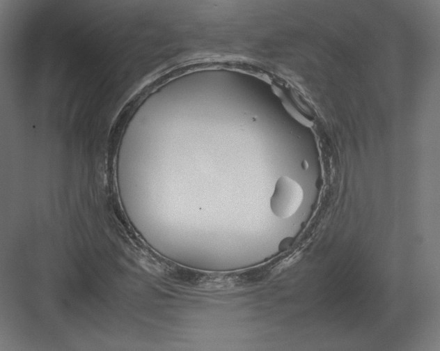 X0000082171165200702092236