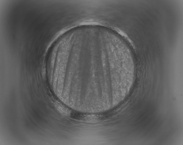 X0000082171167200702092236