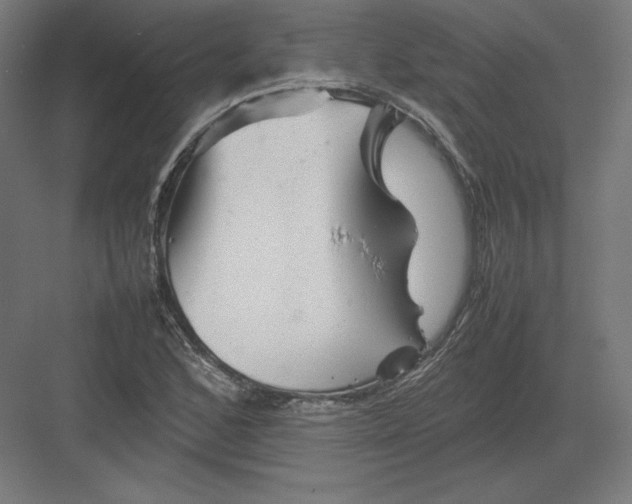 X0000082171168200702092236