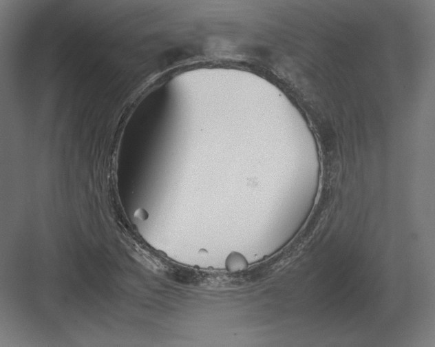 X0000082171169200702092236