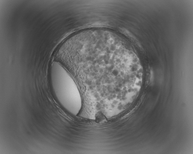 X0000082171170200702092236