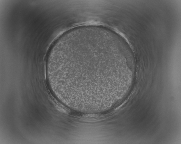 X0000082171171200702092236