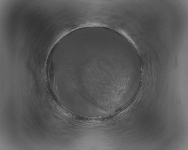 X0000082171173200702092236