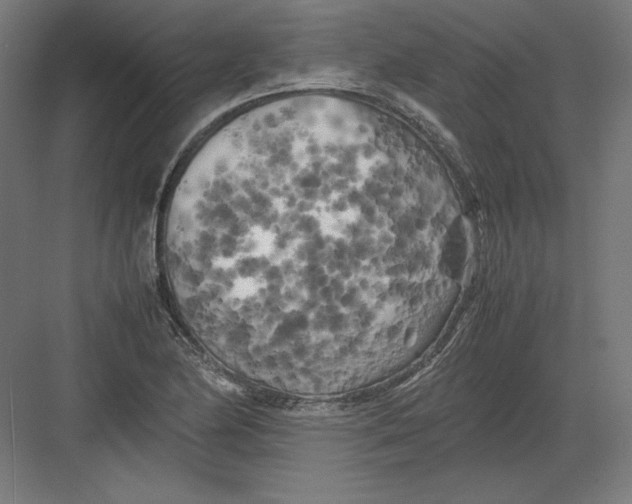 X0000082171174200702092236