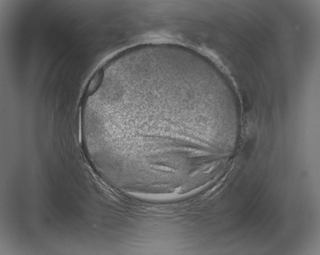 X0000082171175200702092236