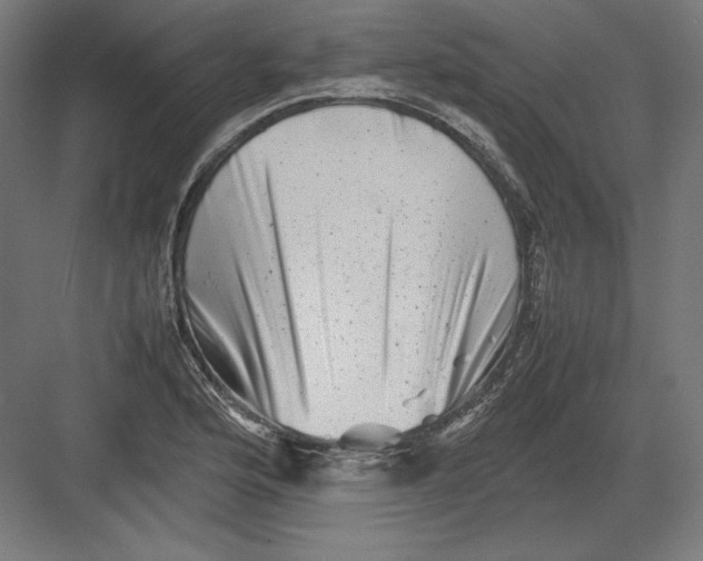 X0000082171176200702092236