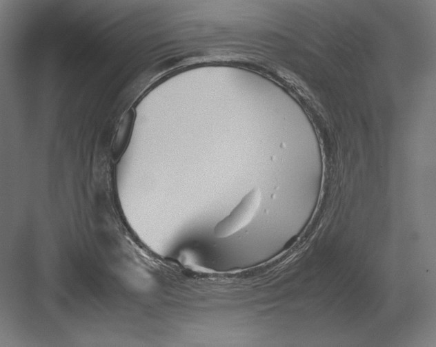 X0000082171177200702092236