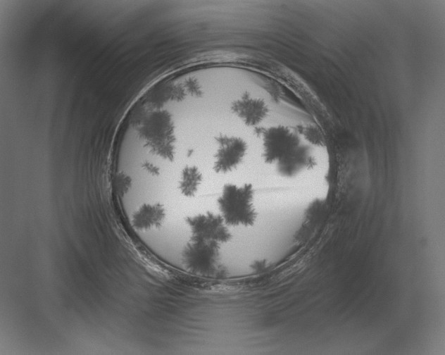 X0000082171178200702092236