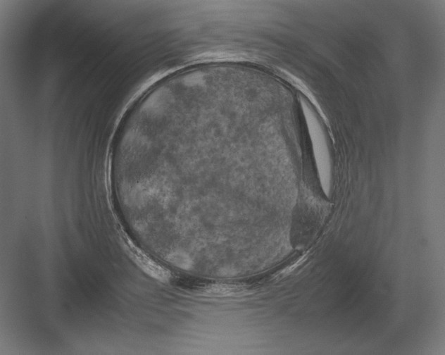 X0000082171179200702092236